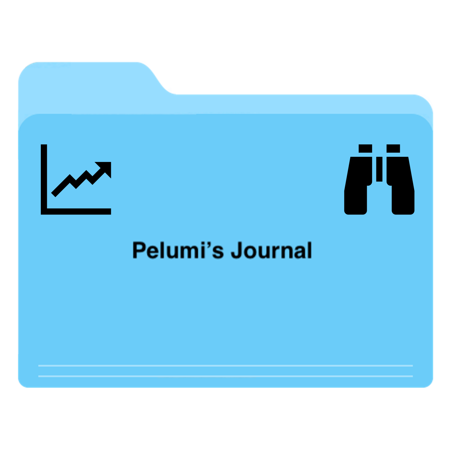 Pelumi's Journal